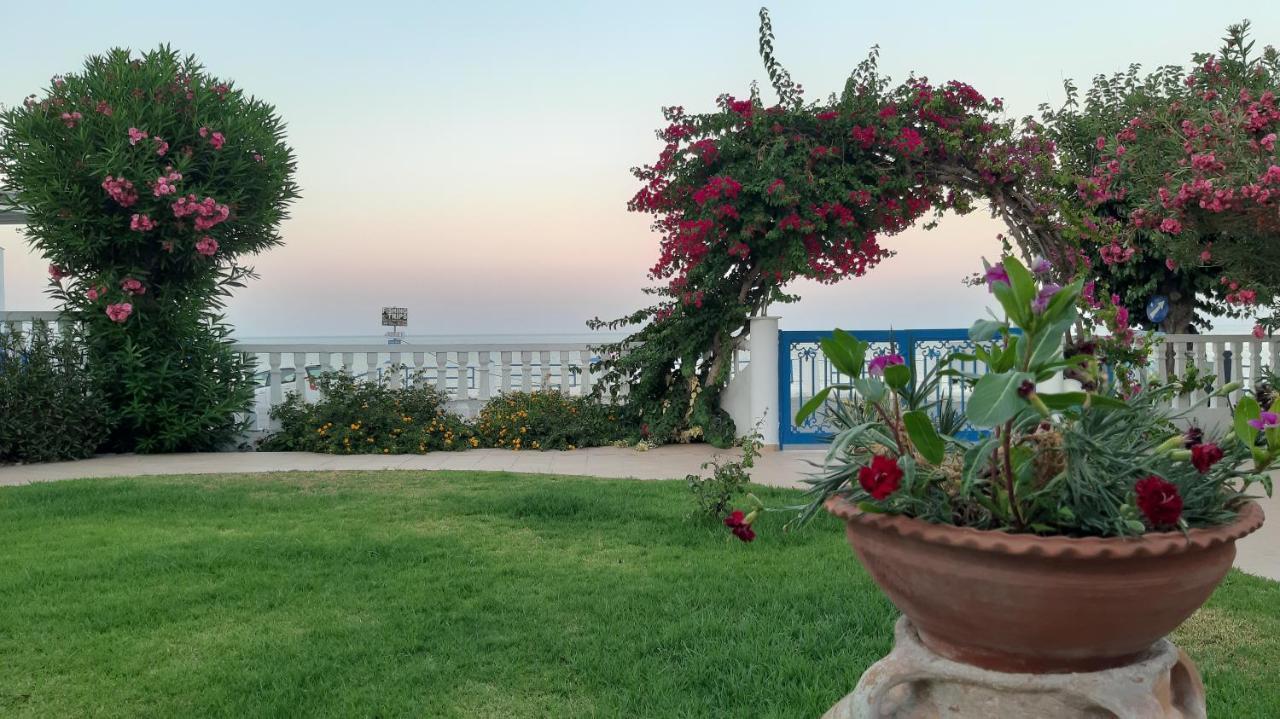 Antonios Apartments Stegna Αρχάγγελος Εξωτερικό φωτογραφία