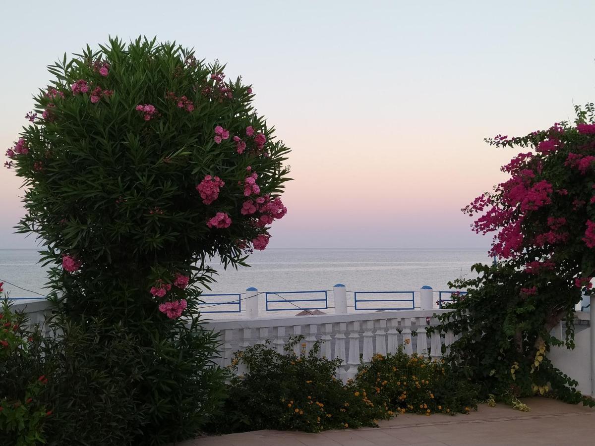 Antonios Apartments Stegna Αρχάγγελος Εξωτερικό φωτογραφία