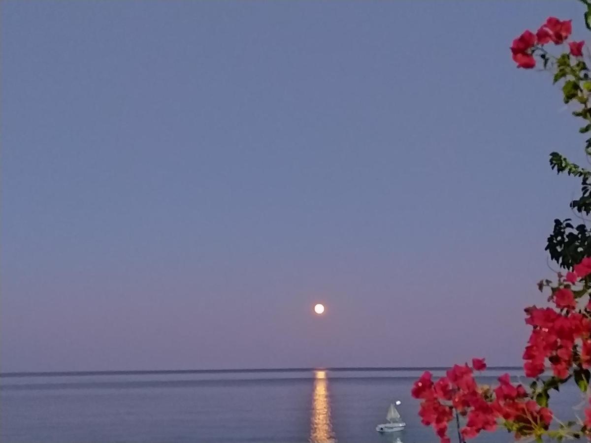Antonios Apartments Stegna Αρχάγγελος Εξωτερικό φωτογραφία
